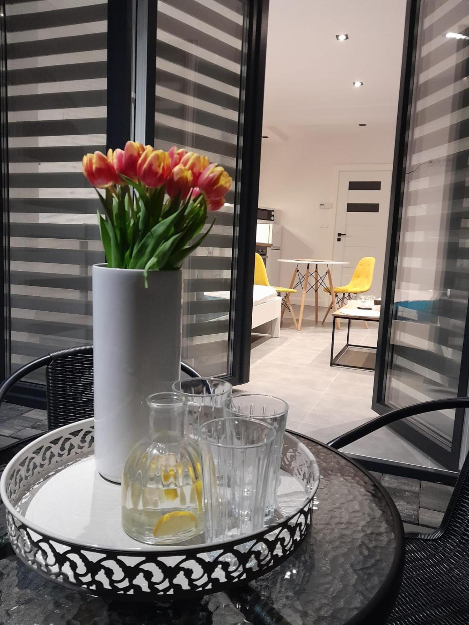 Viva Apartments Освенцім Екстер'єр фото